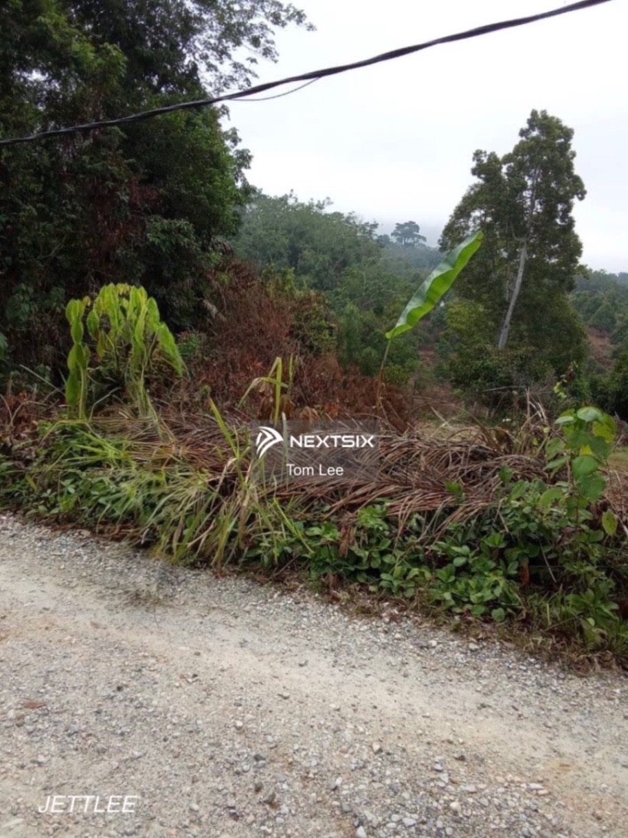 Agricultural Land For Sale in Raub Pahang