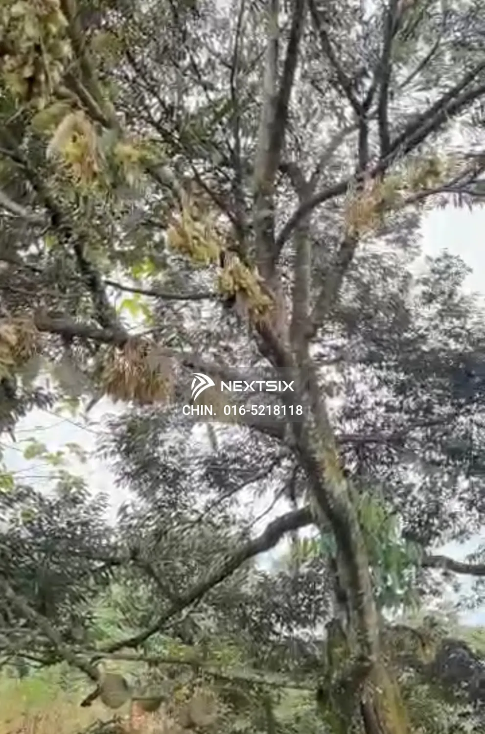 Agricultural Land For Sale in Chenderiang Perak