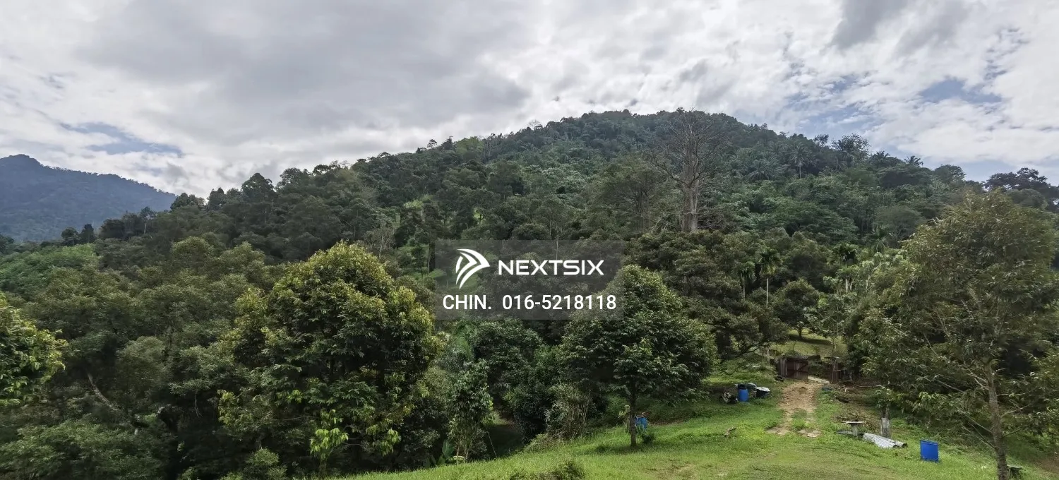 Agricultural Land For Sale in Chenderiang Perak - Image 10