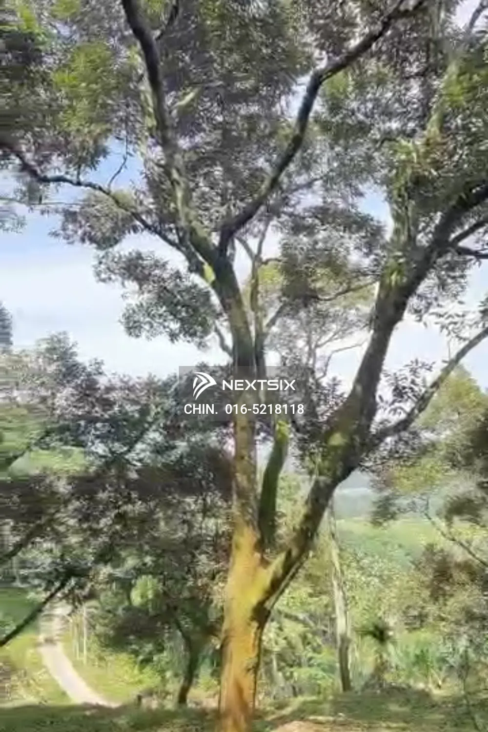 Agricultural Land For Sale in Chenderiang Perak - Image 5