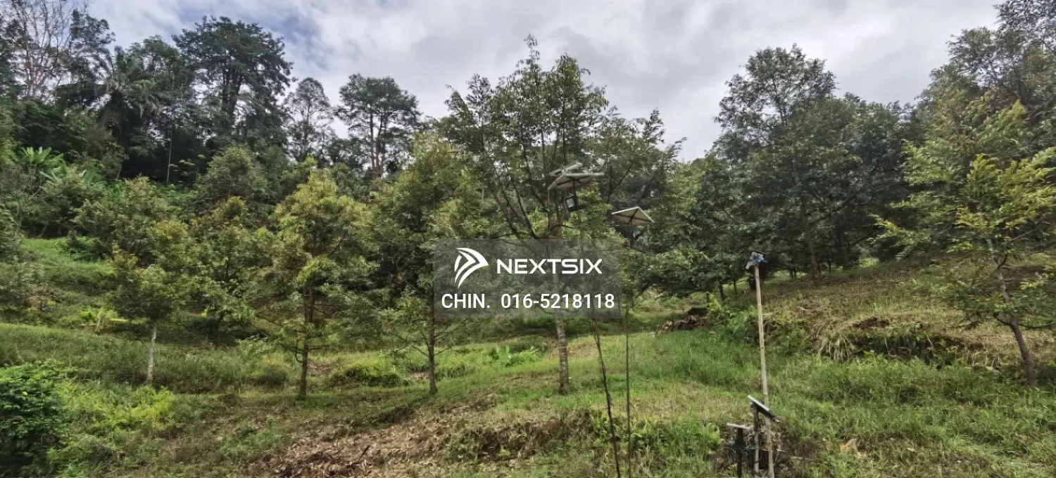 Agricultural Land For Sale in Chenderiang Perak - Image 6