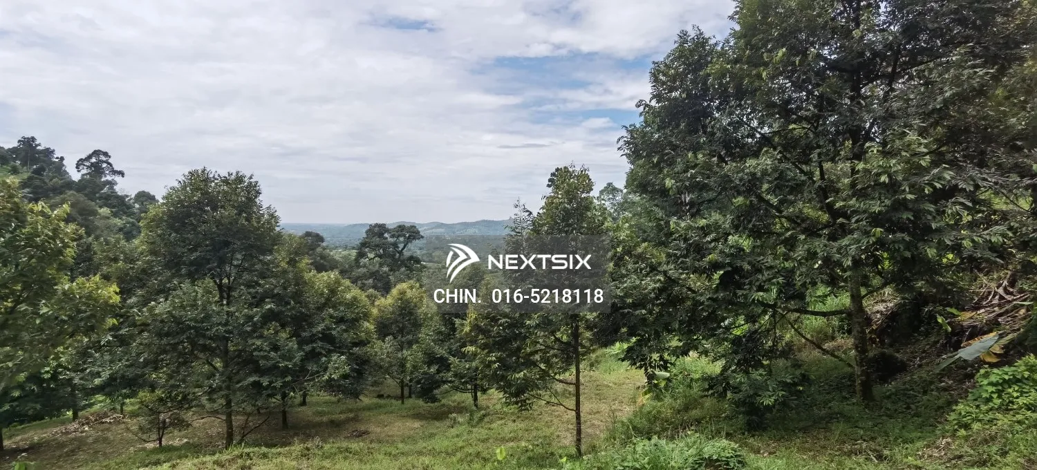 Agricultural Land For Sale in Chenderiang Perak - Image 7