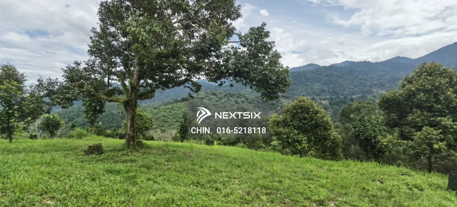 Agricultural Land For Sale in Chenderiang Perak - Image 8