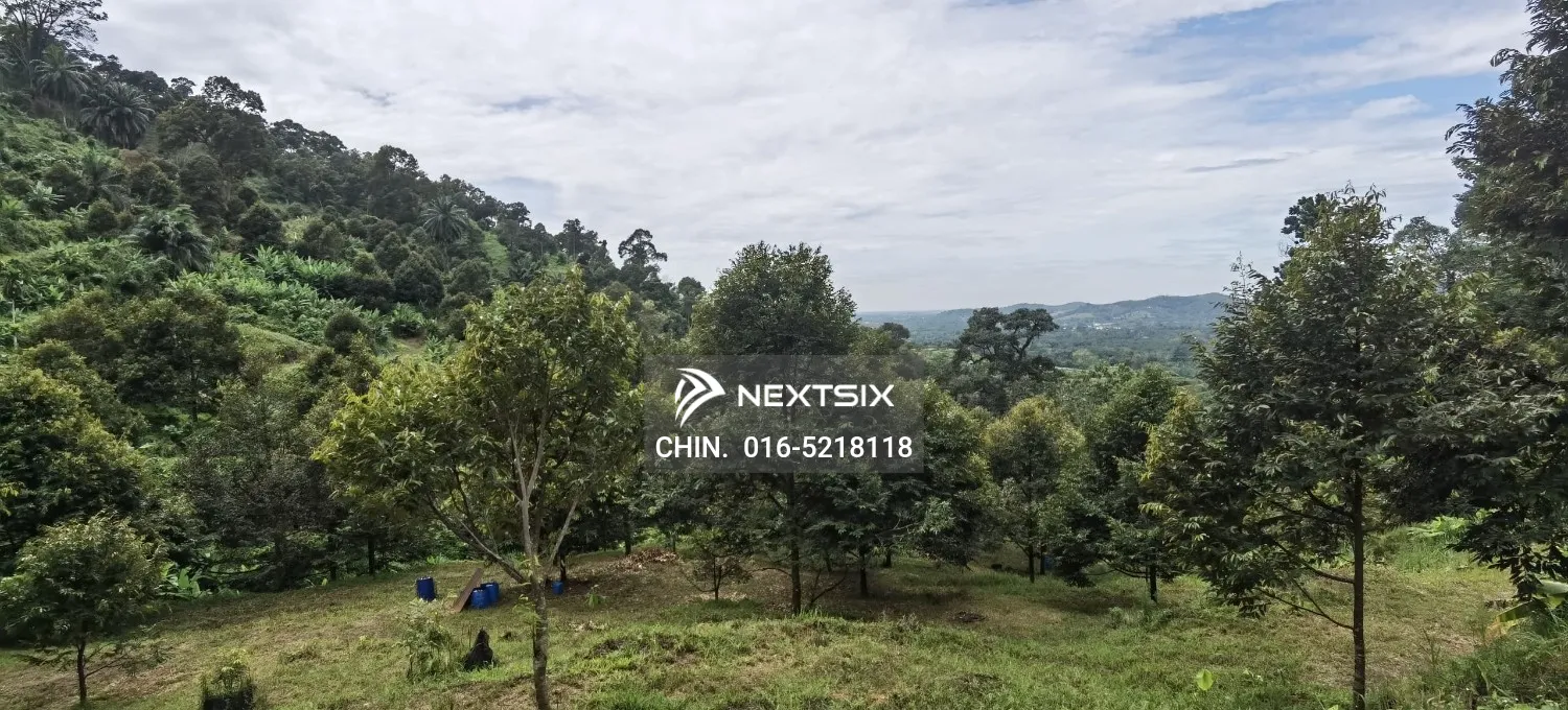 Agricultural Land For Sale in Chenderiang Perak - Image 9