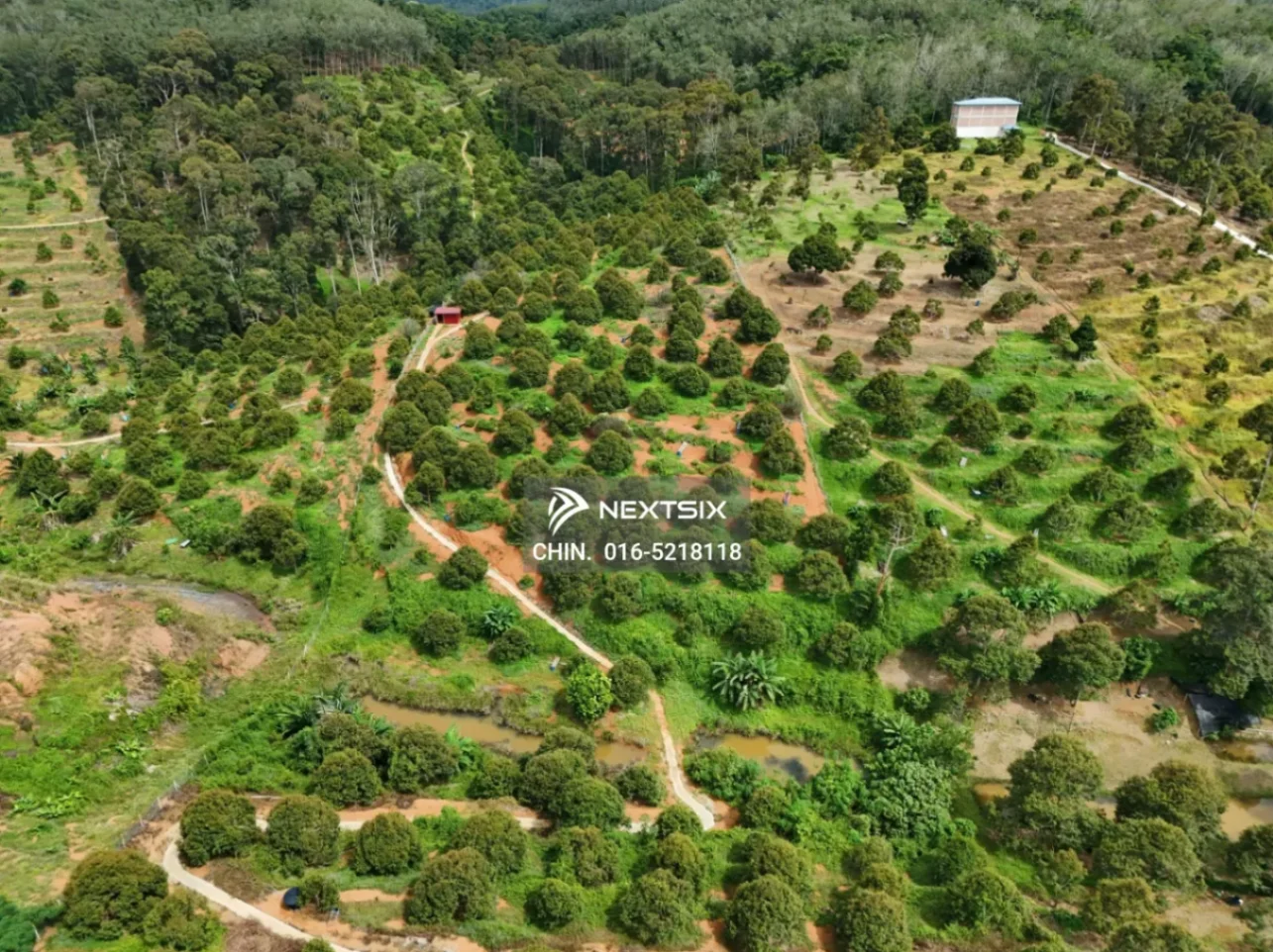 Agricultural Land For Sale in Kuala Kangsar Perak - Image 5