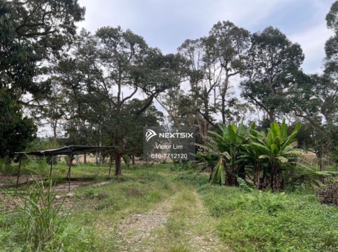 Agricultural Land For Sale in Alor Gajah Melaka