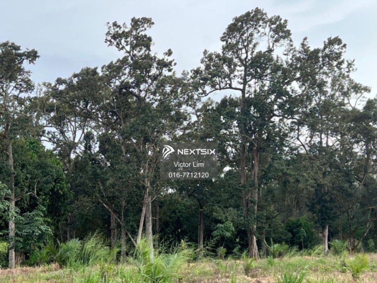 Agricultural Land For Sale in Alor Gajah Melaka - Image 5