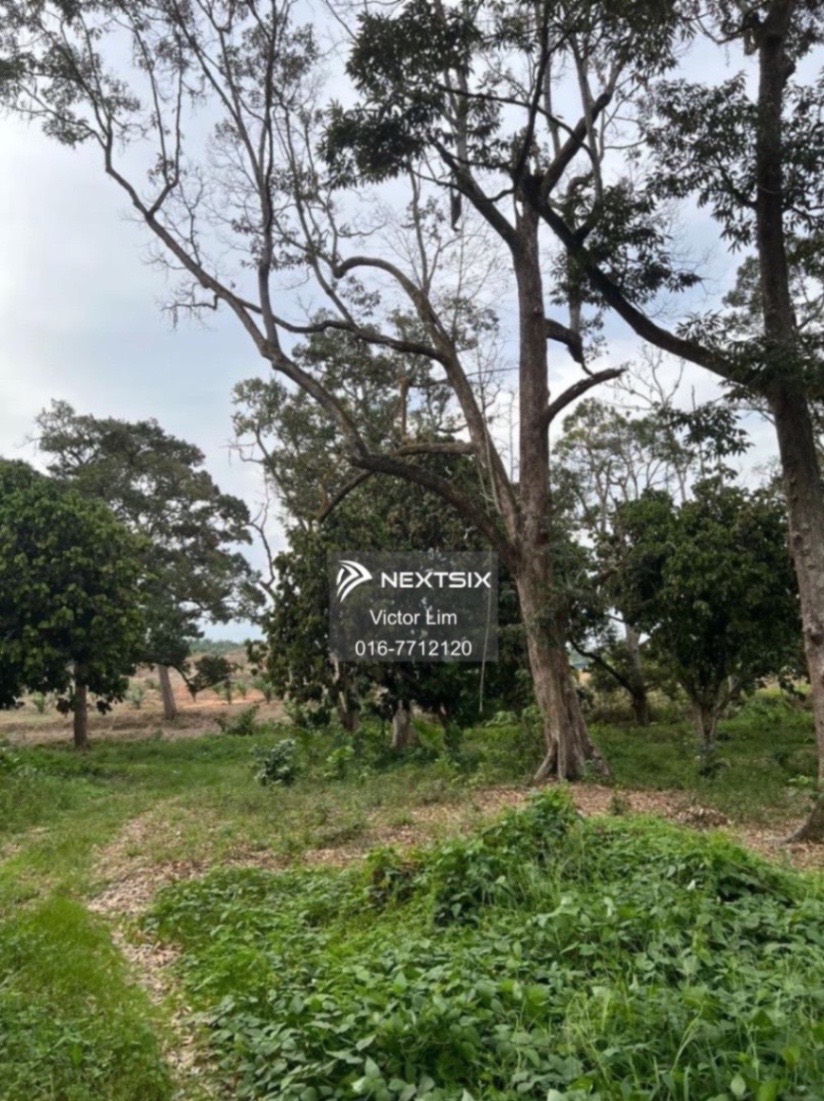 Agricultural Land For Sale in Alor Gajah Melaka - Image 6