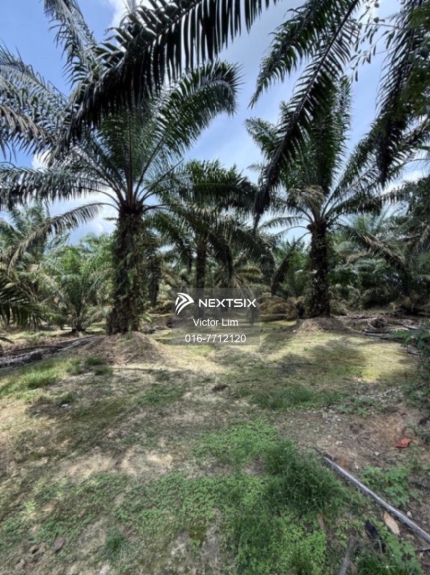 Agricultural Land For Sale in Ayer Hitam Johor