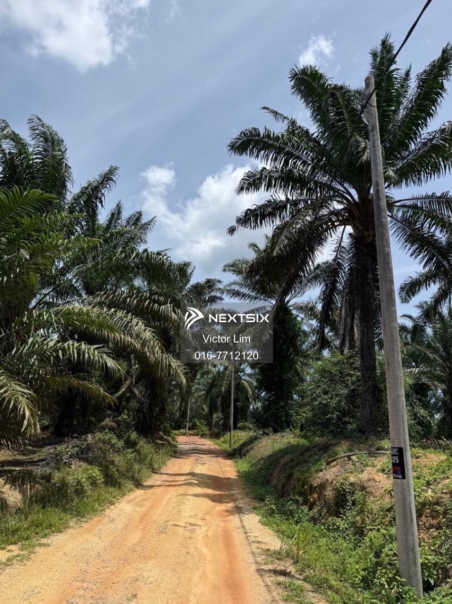 Agricultural Land For Sale in Ayer Hitam Johor - Image 5