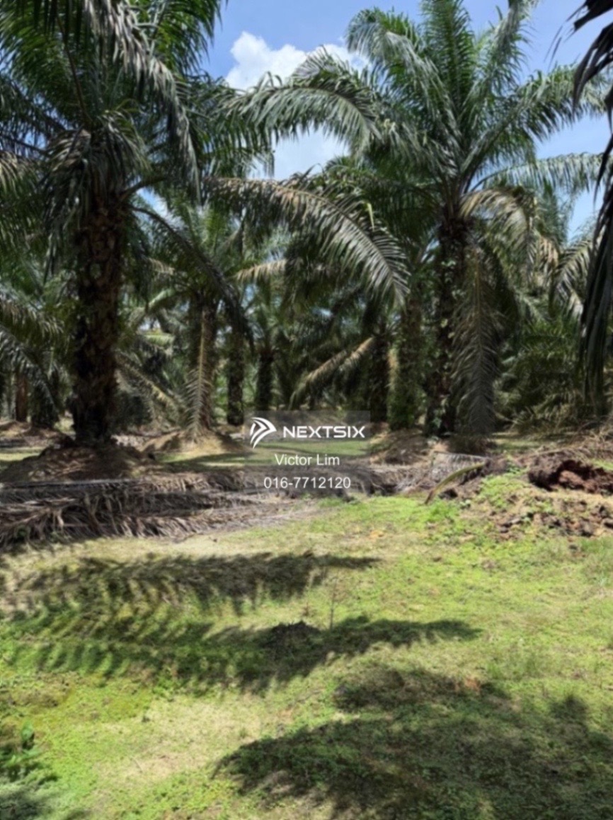 Agricultural Land For Sale in Ayer Hitam Johor - Image 6
