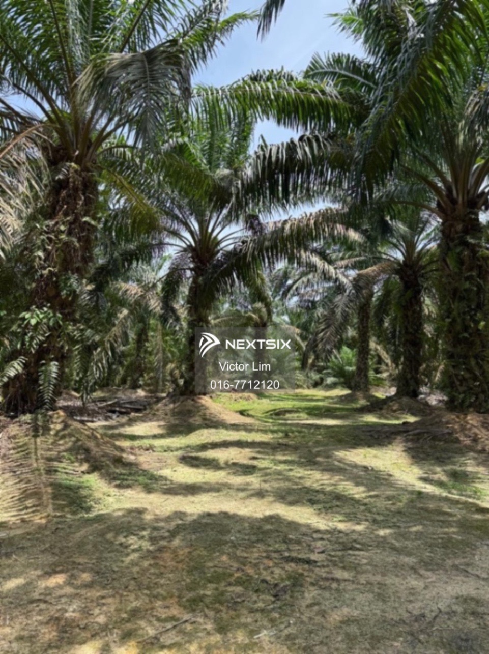 Agricultural Land For Sale in Ayer Hitam Johor - Image 7