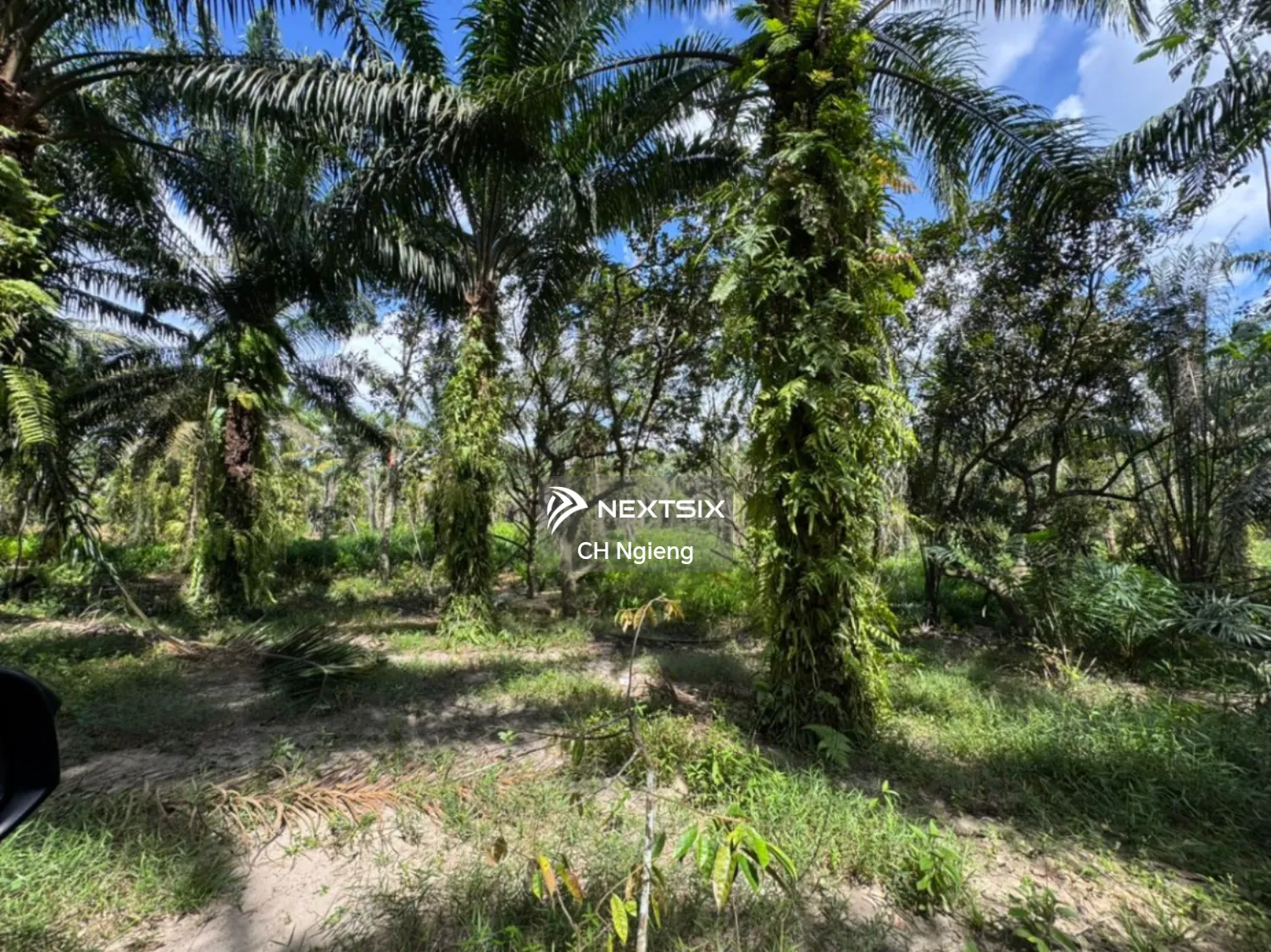 Agricultural Land For Sale in Johor Bahru Johor