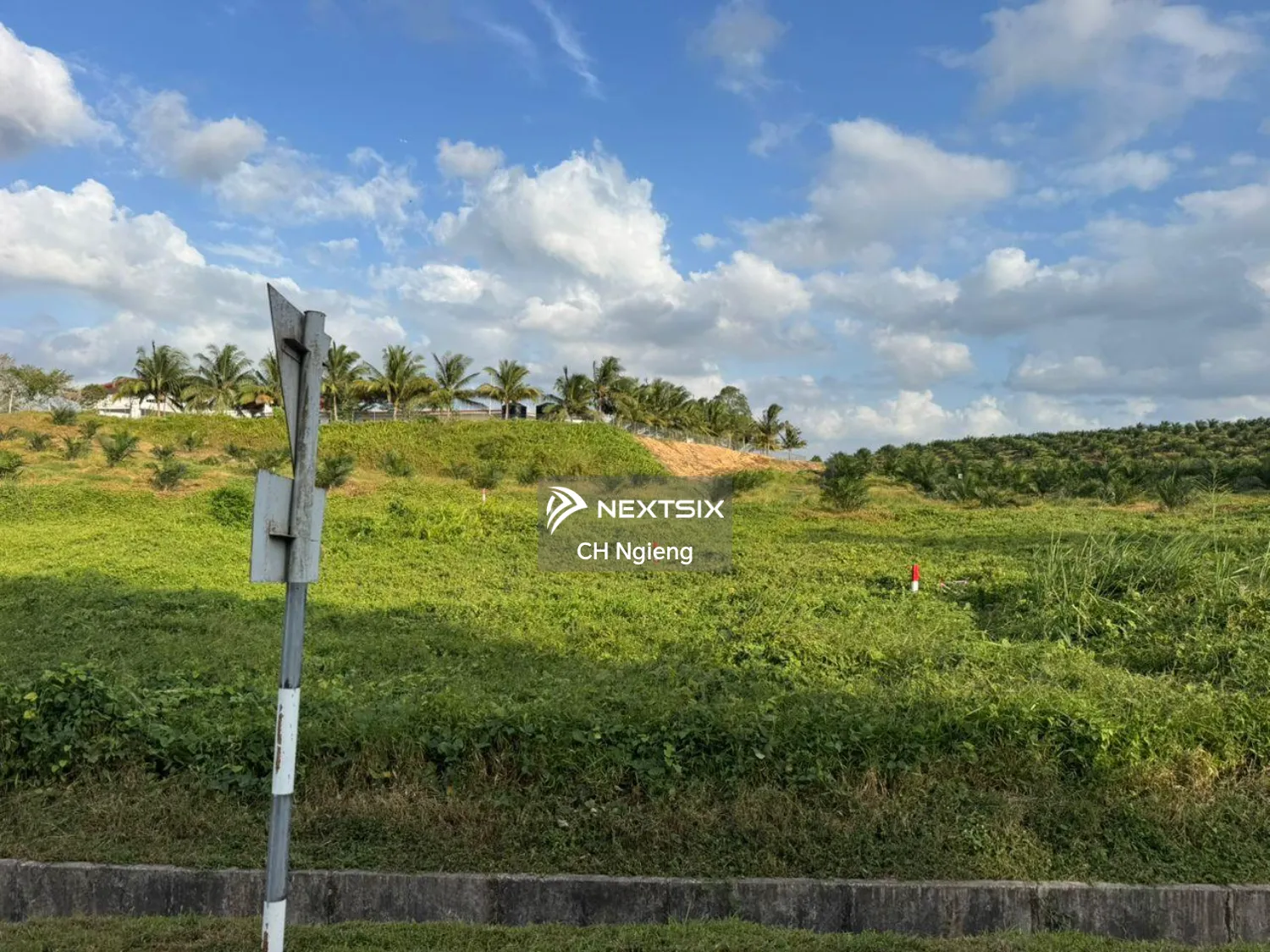 Agricultural Land For Sale in Kota Tinggi Johor - Image 5