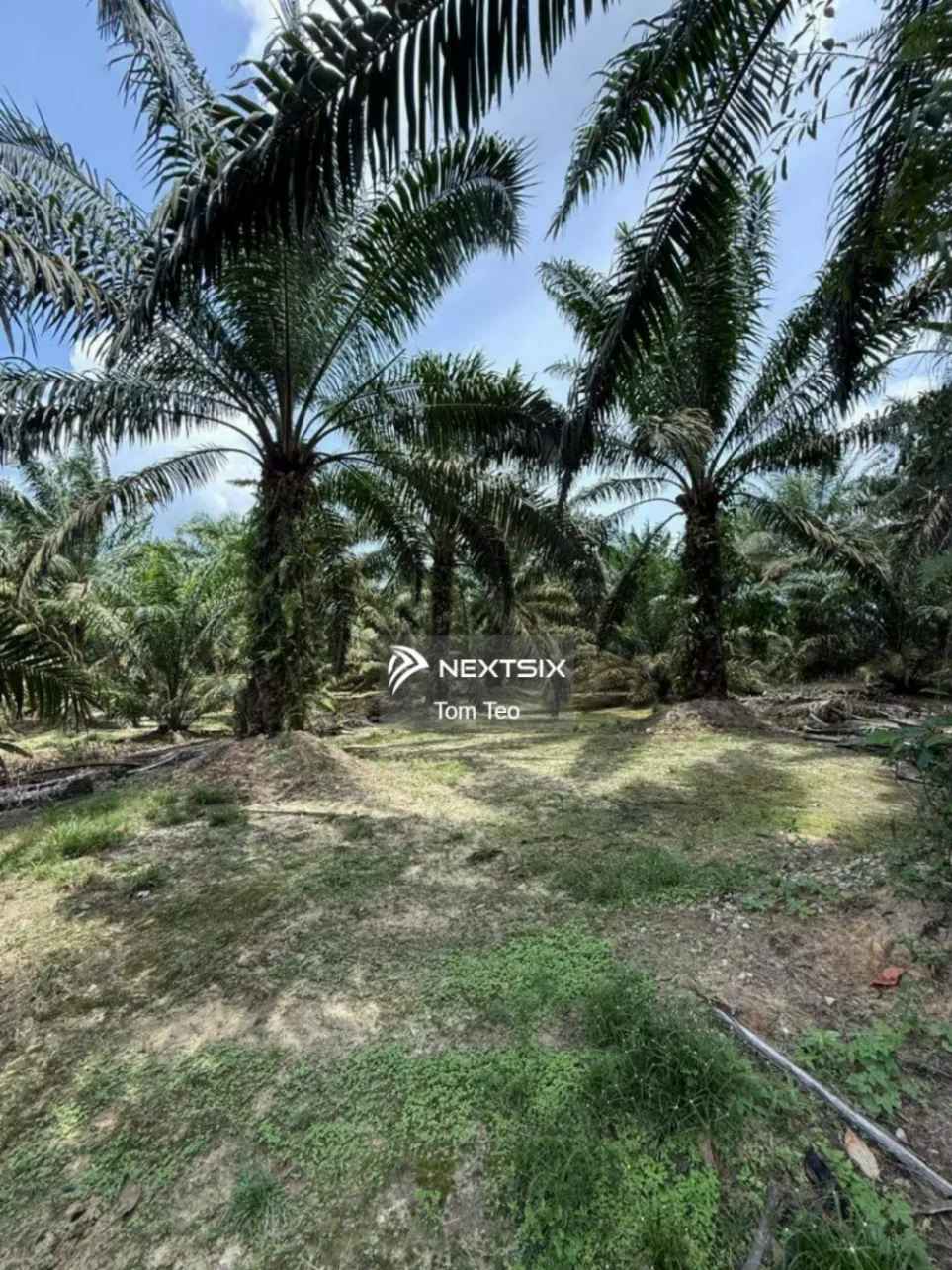 Agricultural Land For Sale in Ayer Hitam Johor - Image 2