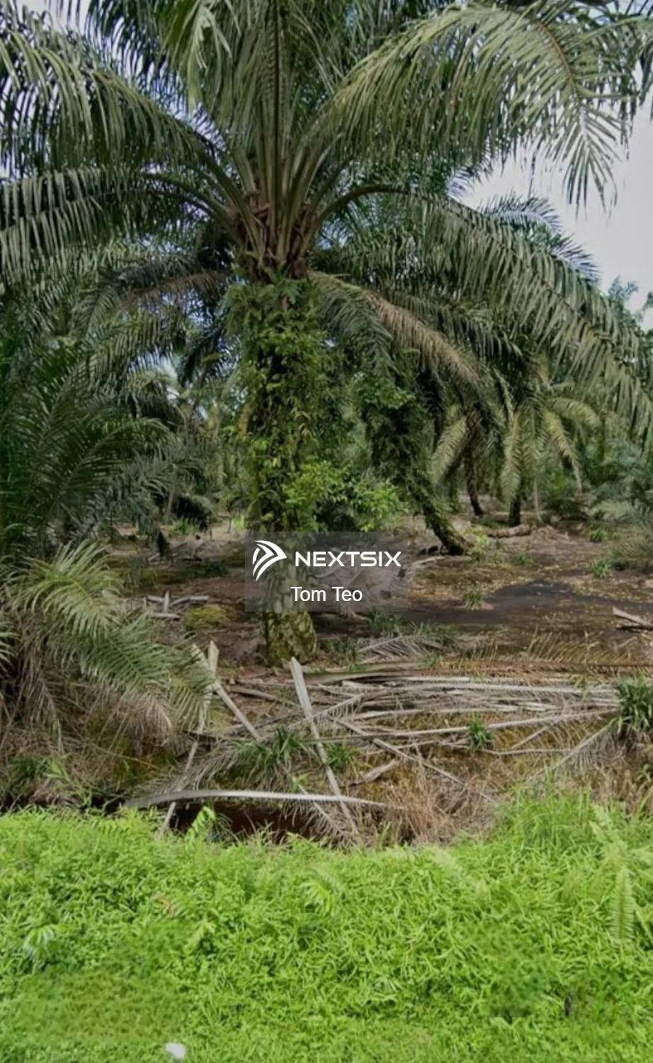 Agricultural Land For Sale in Ayer Hitam Johor - Image 3