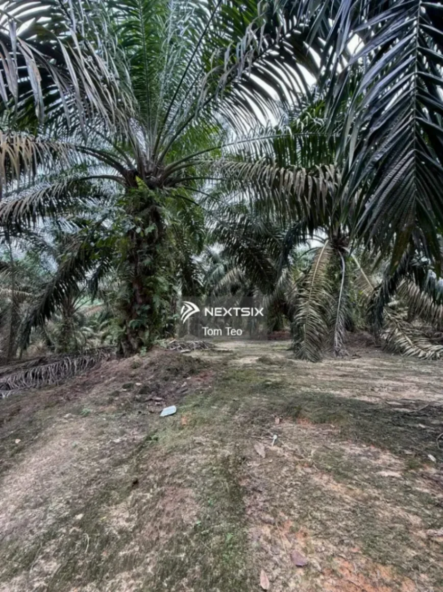 Agricultural Land For Sale in Ayer Hitam Johor - Image 4