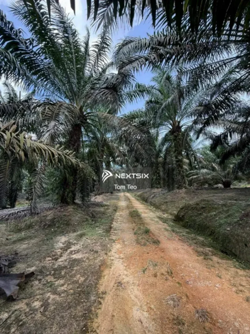 Agricultural Land For Sale in Ayer Hitam Johor - Image 5