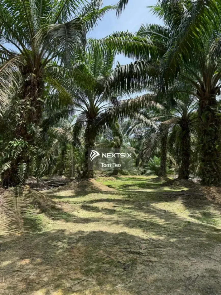 Agricultural Land For Sale in Ayer Hitam Johor - Image 6
