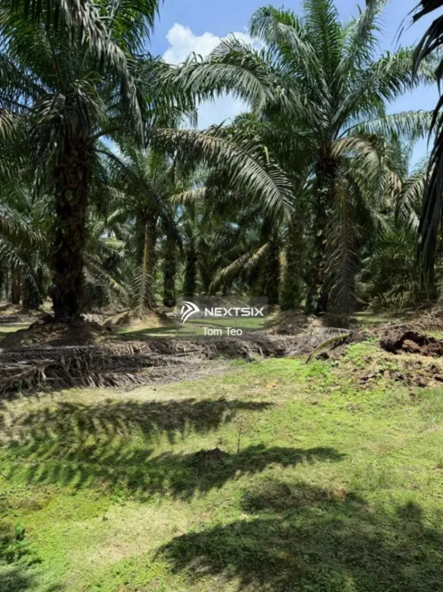 Agricultural Land For Sale in Ayer Hitam Johor - Image 7