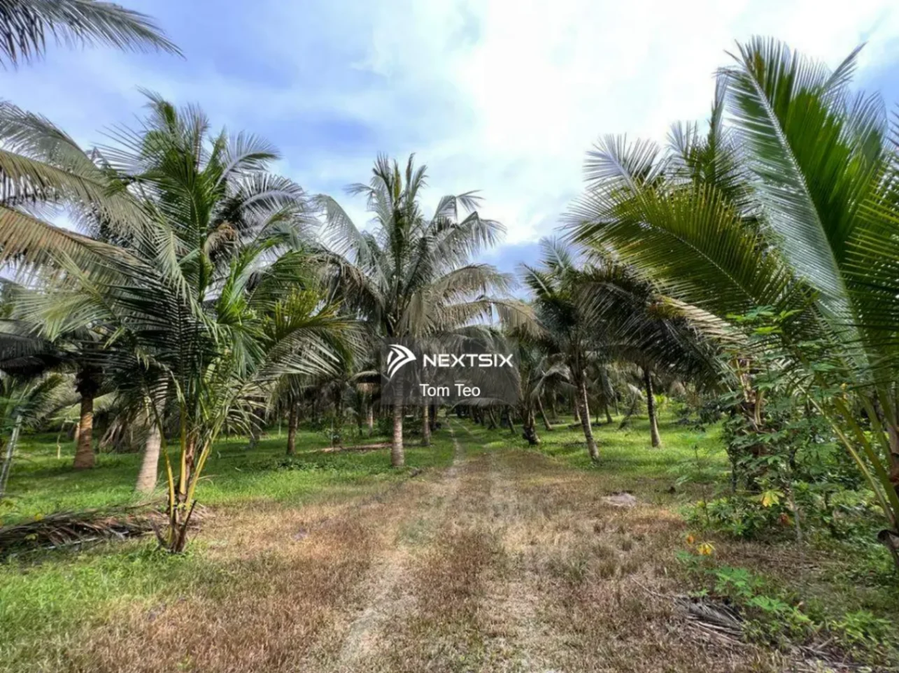 Agricultural Land For Sale in Kluang Johor