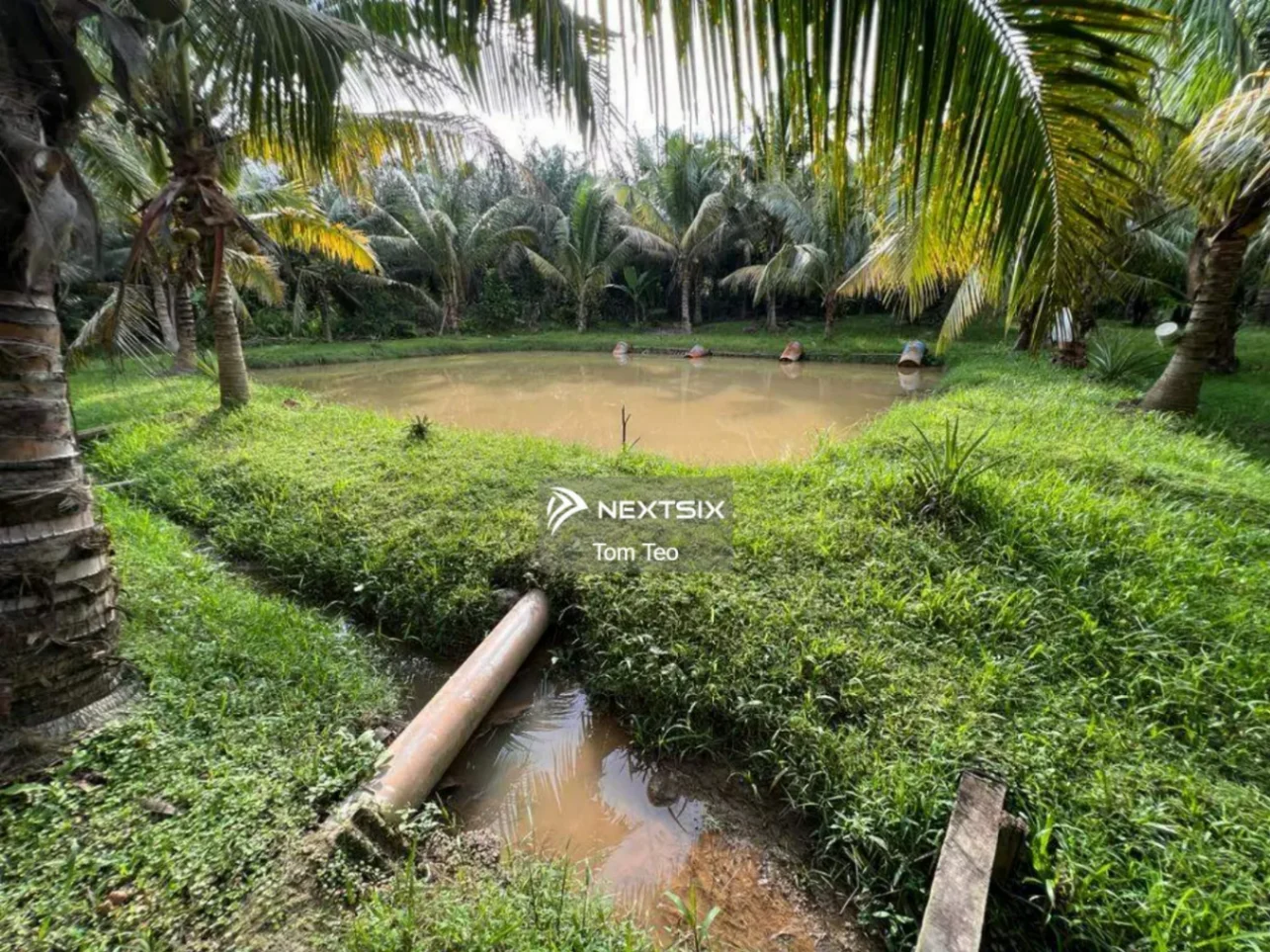 Agricultural Land For Sale in Kluang Johor - Image 10