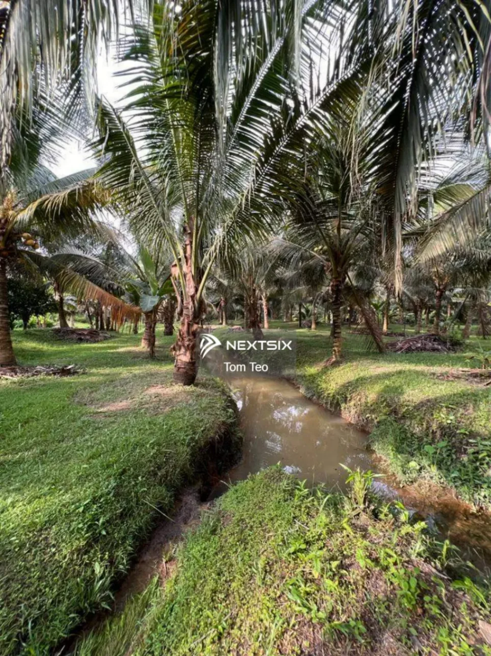 Agricultural Land For Sale in Kluang Johor - Image 12