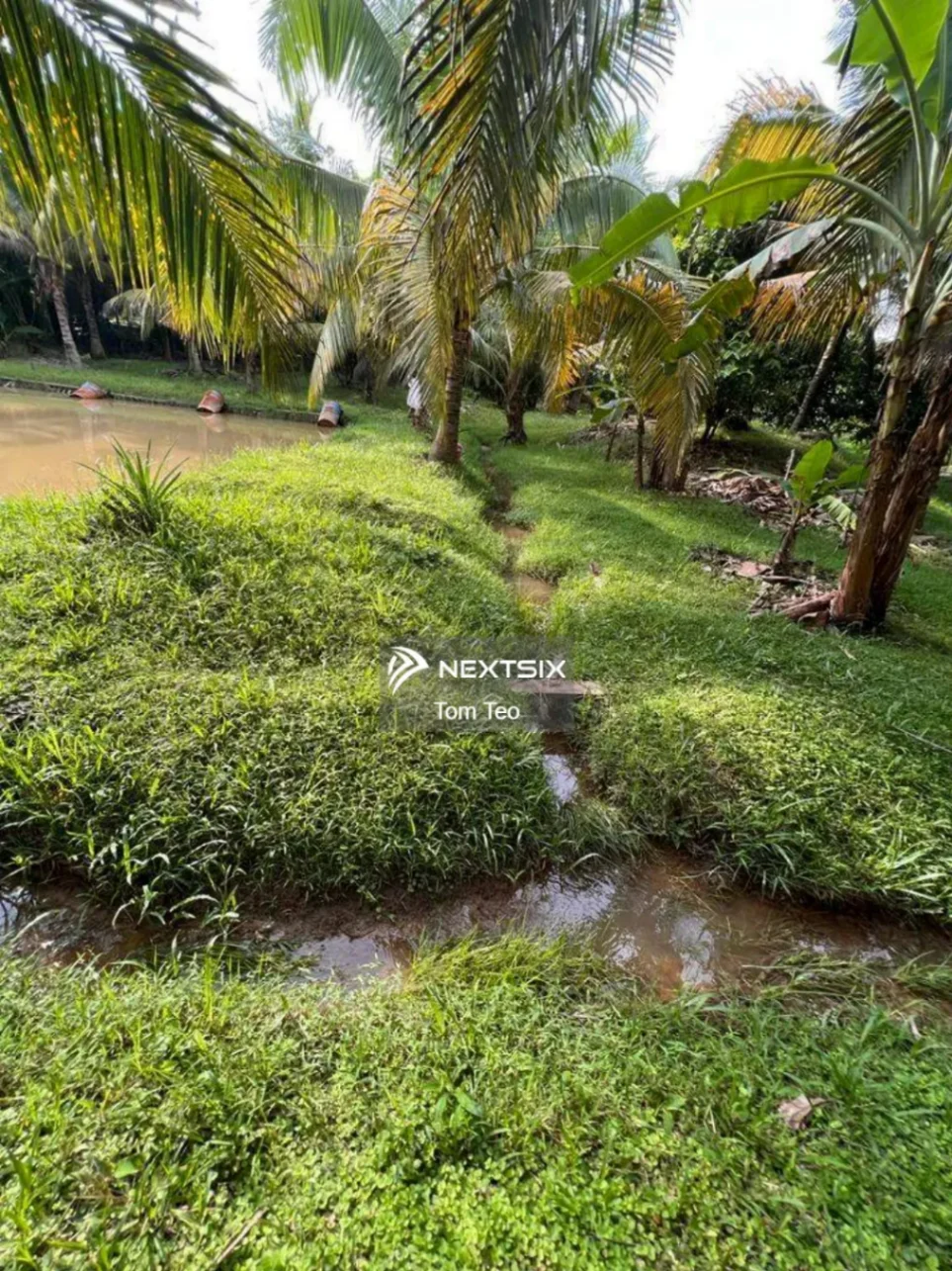 Agricultural Land For Sale in Kluang Johor - Image 13