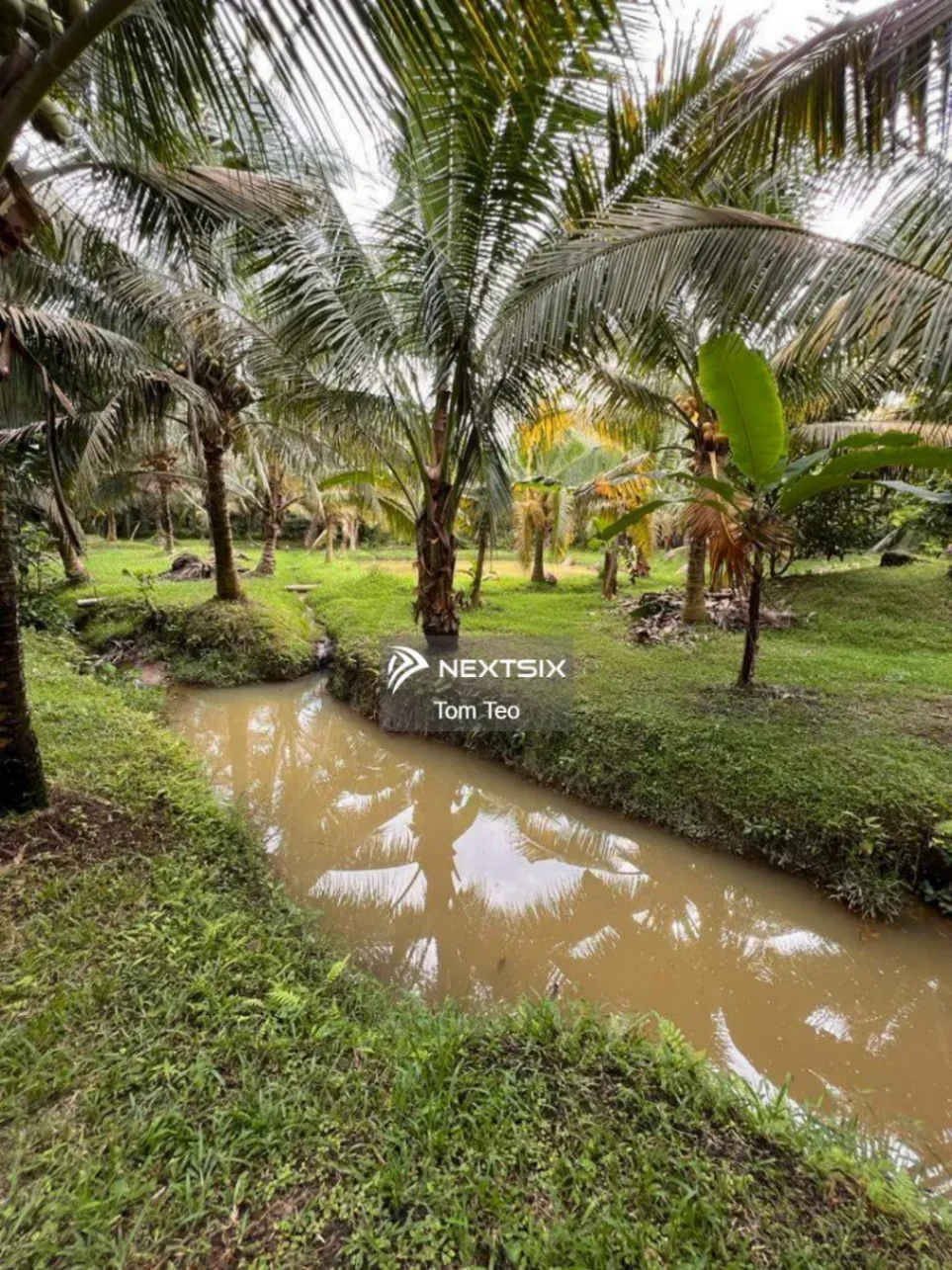 Agricultural Land For Sale in Kluang Johor - Image 2