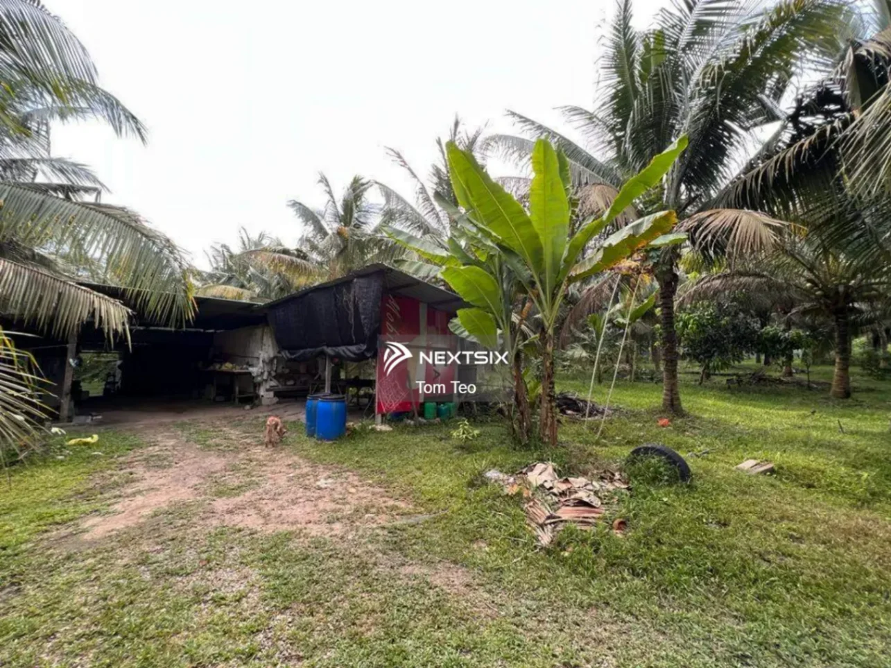 Agricultural Land For Sale in Kluang Johor - Image 3