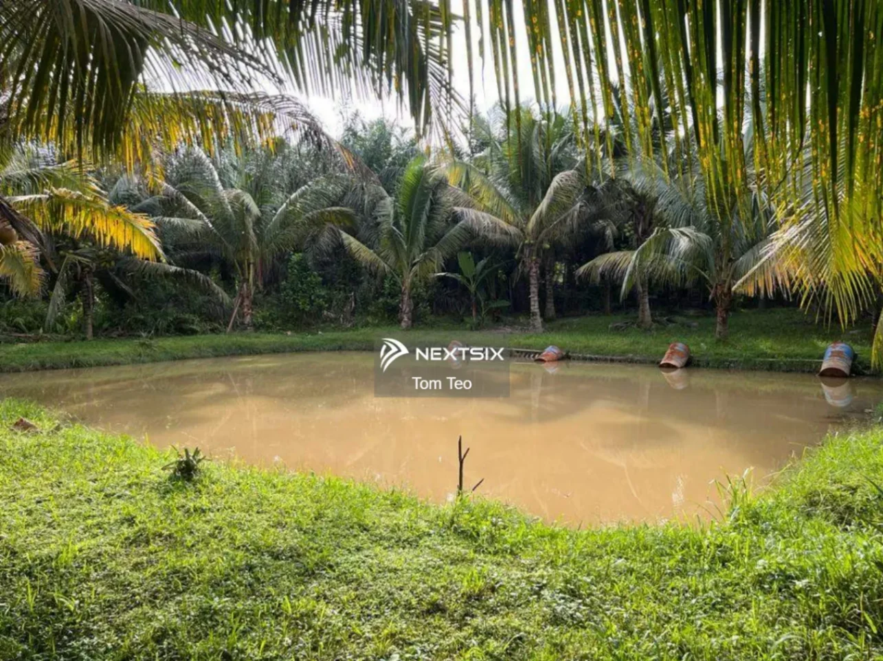 Agricultural Land For Sale in Kluang Johor - Image 4