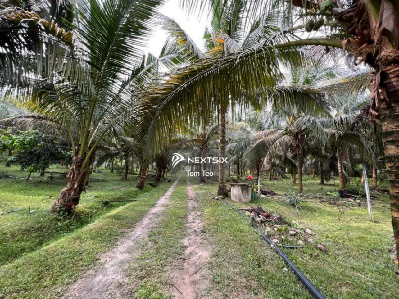 Agricultural Land For Sale in Kluang Johor - Image 5