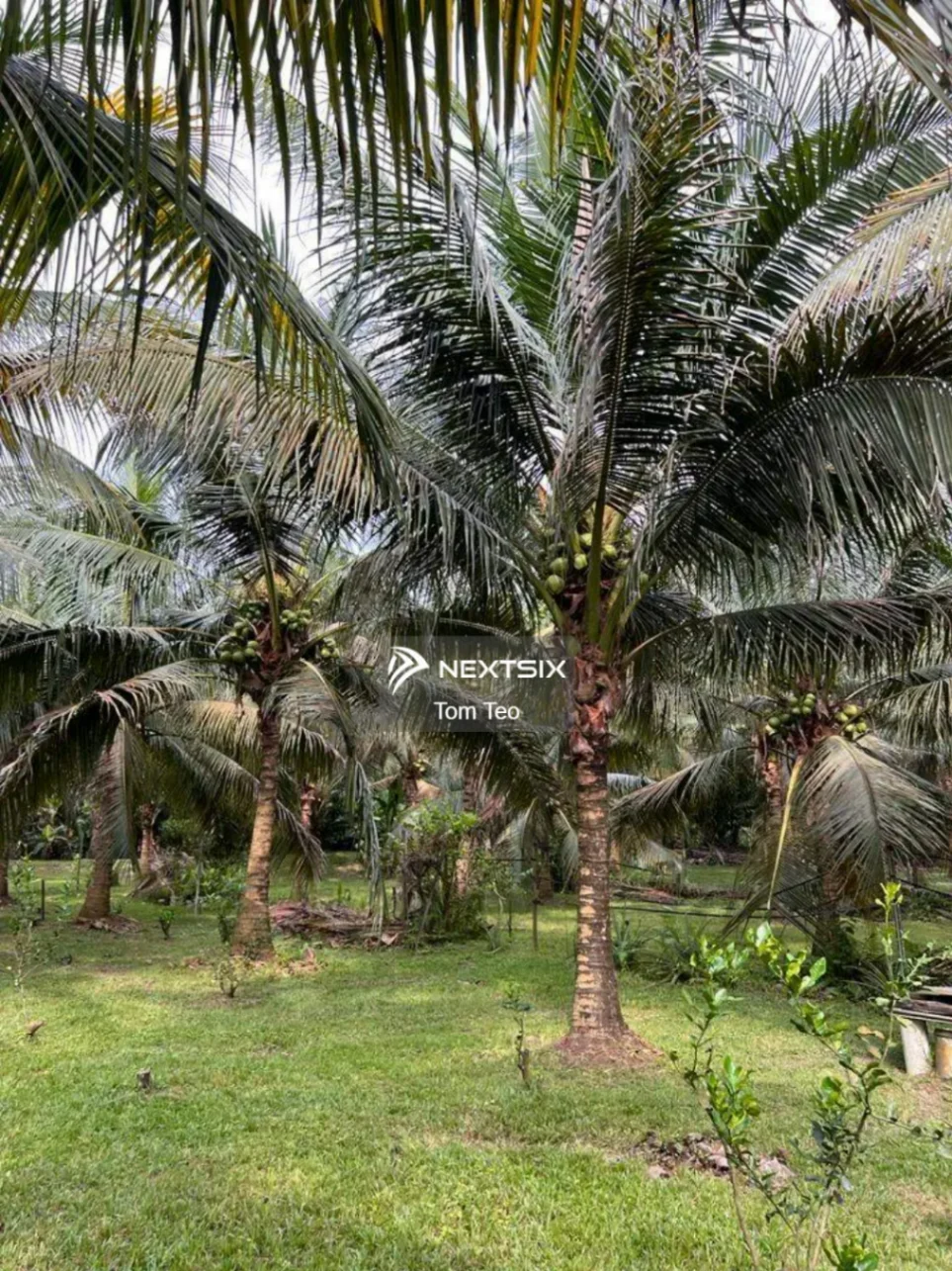 Agricultural Land For Sale in Kluang Johor - Image 6