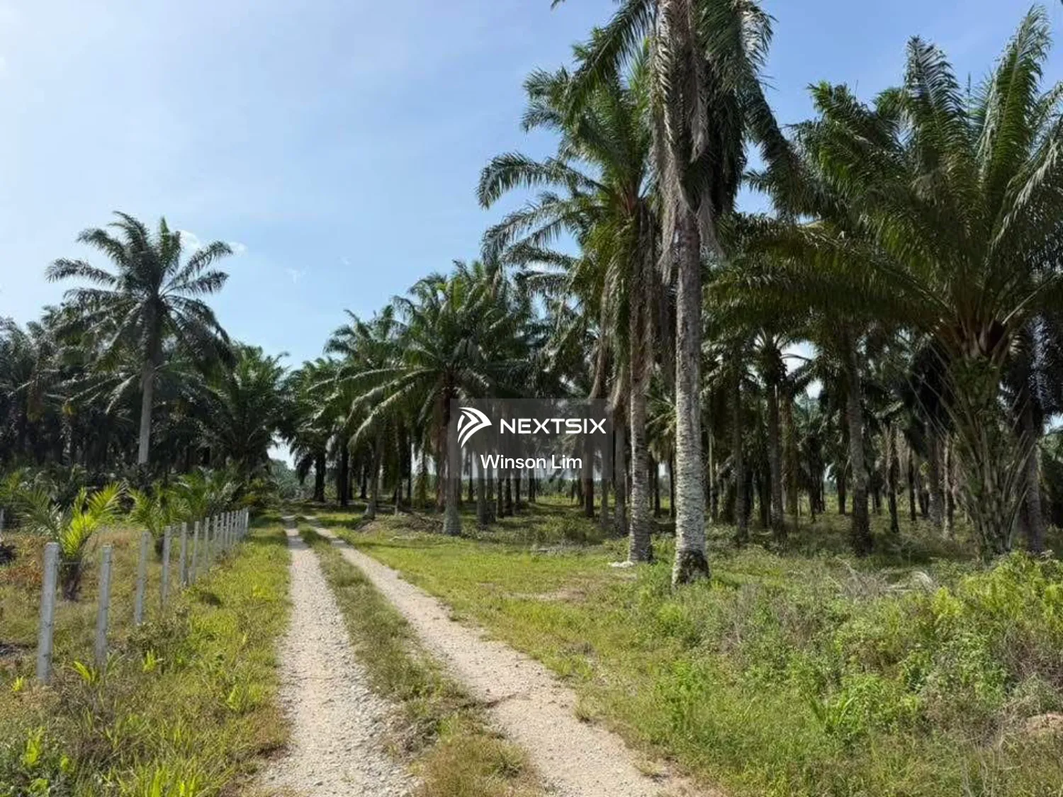 Agricultural Land For Sale in Kluang Johor