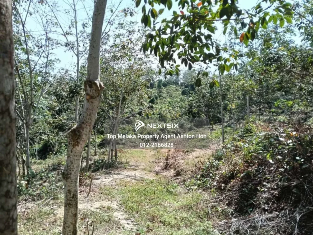 Agricultural Land For Sale in Masjid Tanah Melaka - Image 5