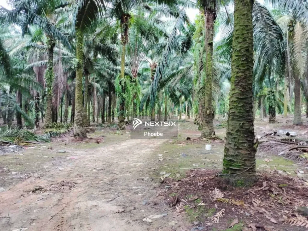 Agricultural Land For Sale in Gelang Patah Johor