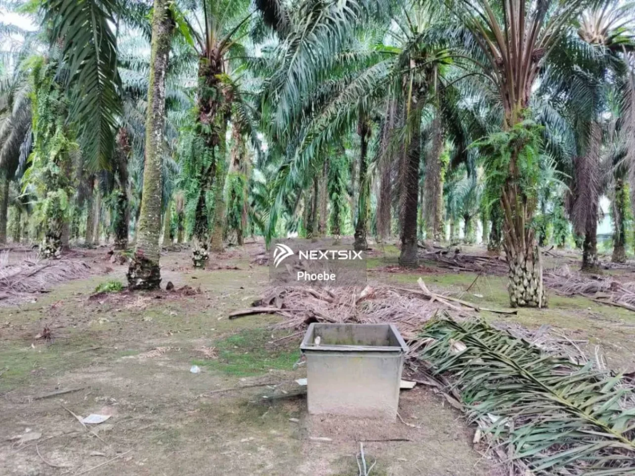 Agricultural Land For Sale in Gelang Patah Johor - Image 5