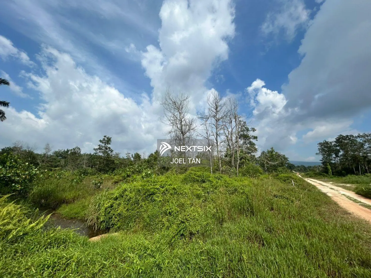 Agricultural Land For Sale in Kota Tinggi Johor - Image 6