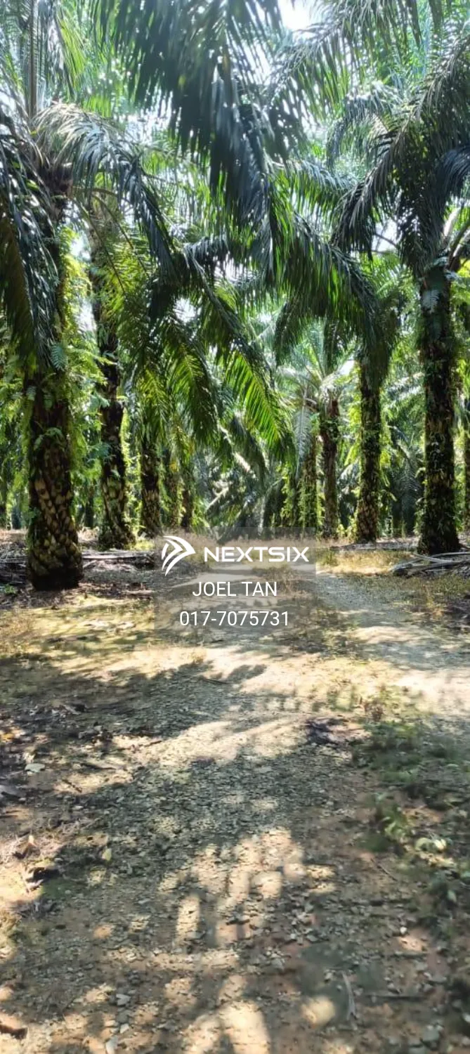 Agricultural Land For Sale in Kulai Johor