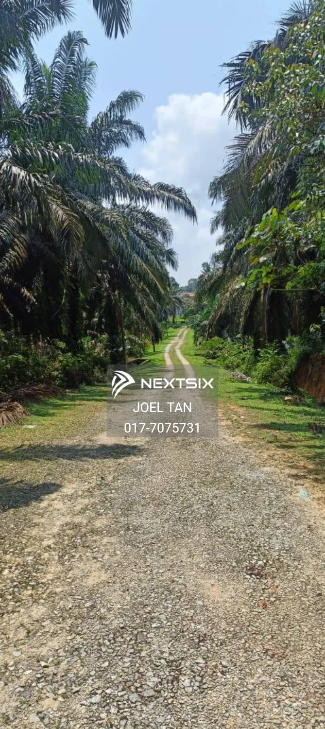 Agricultural Land For Sale in Kulai Johor - Image 5