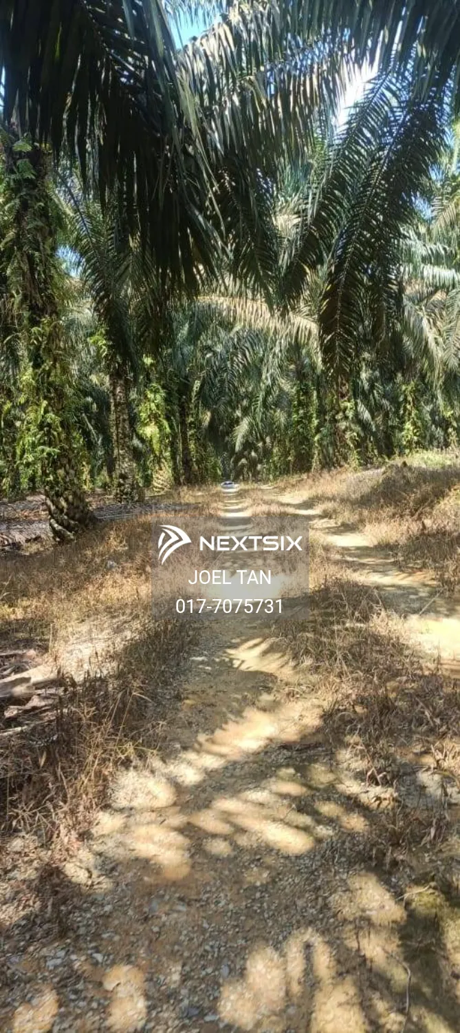 Agricultural Land For Sale in Kulai Johor - Image 6