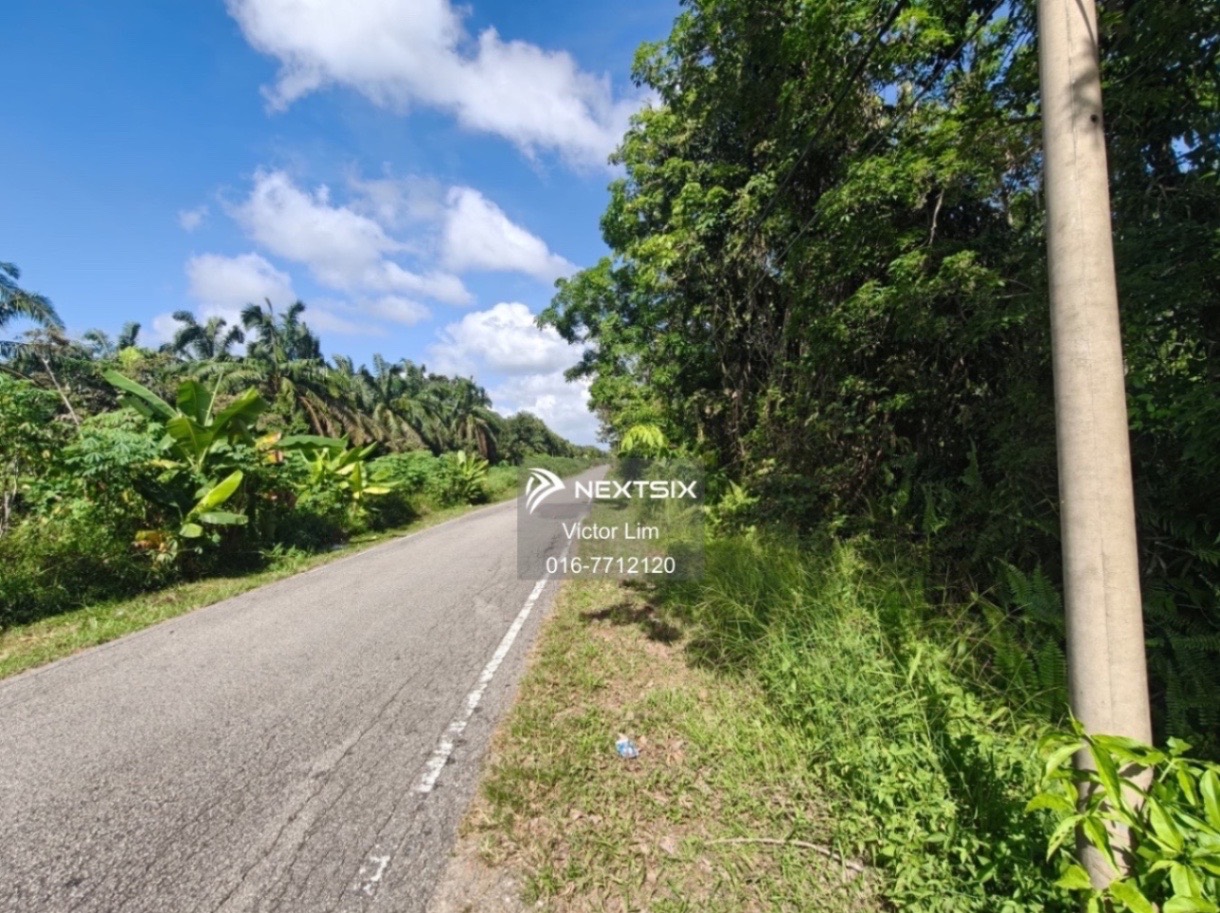 Agricultural Land For Sale in Pontian Johor - Image 5