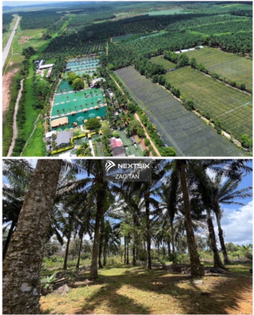 Agricultural Land For Sale in Kulai Johor