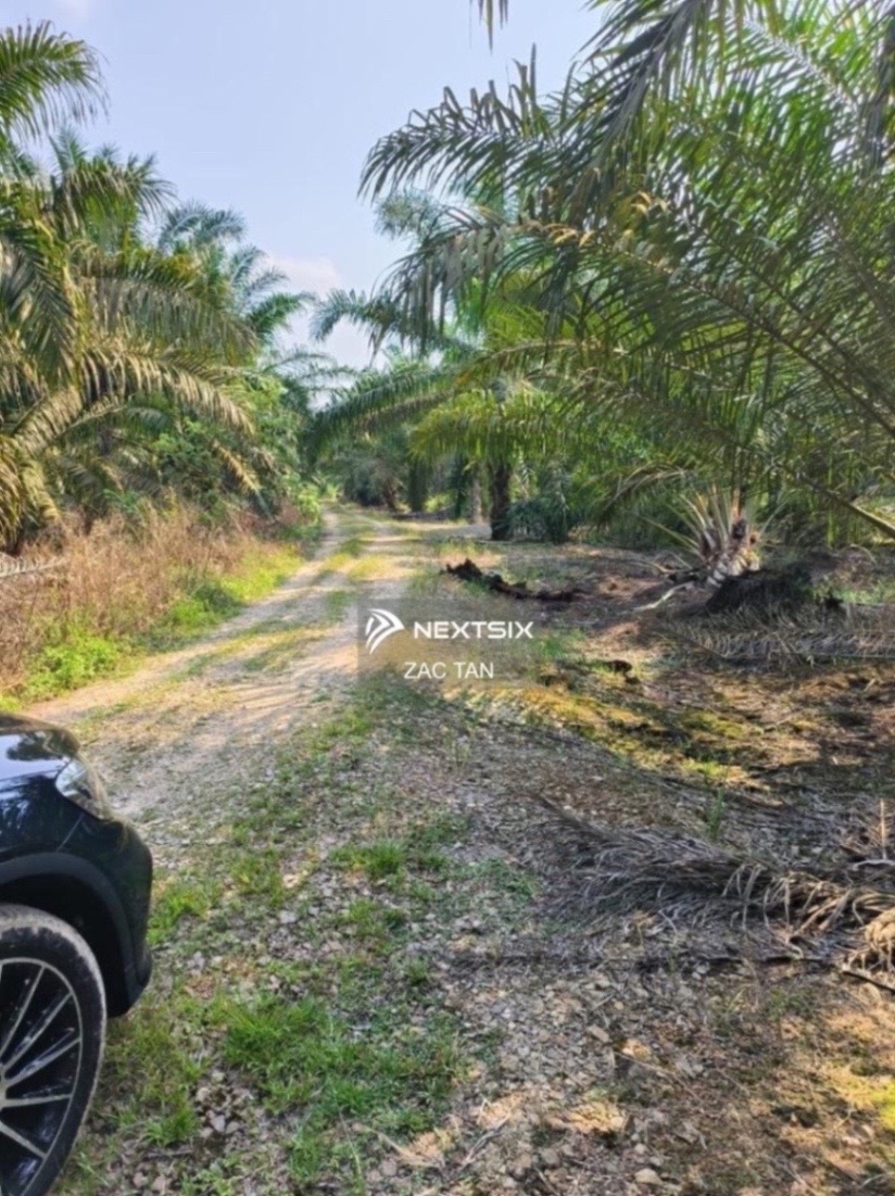 Agricultural Land For Sale in Simpang Rengam Johor