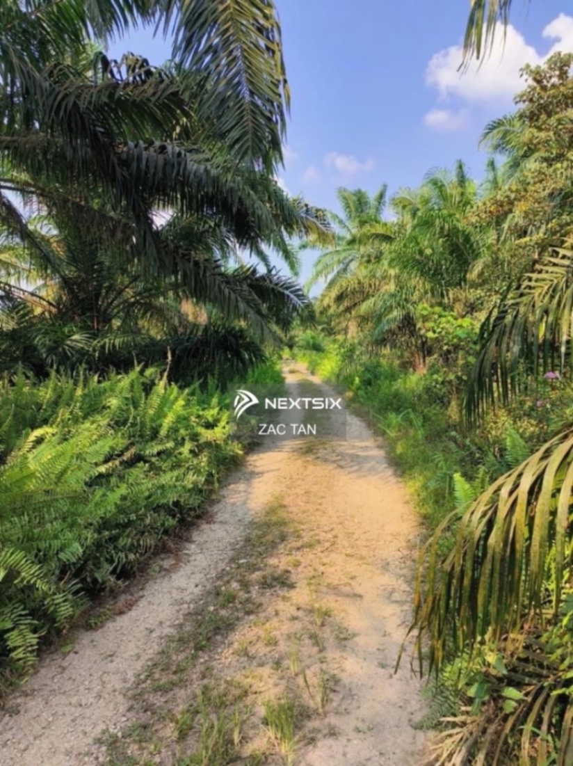 Agricultural Land For Sale in Simpang Rengam Johor - Image 2