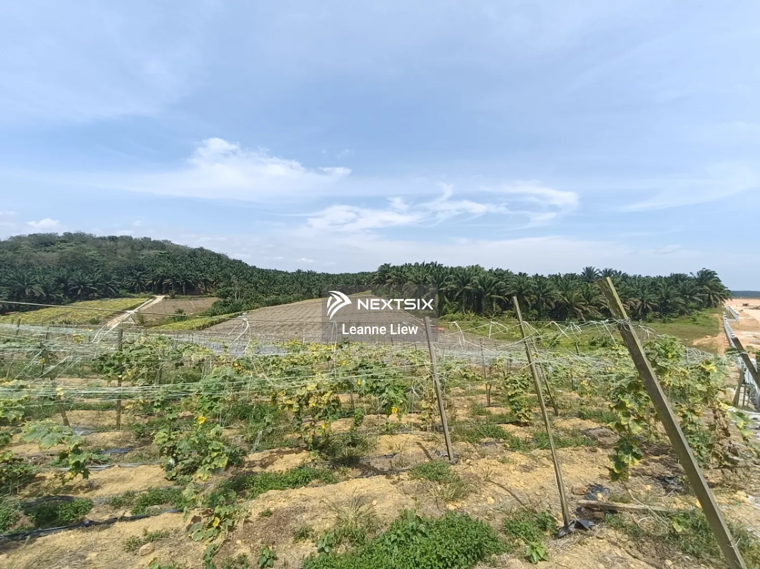 Agricultural Land For Sale in Kulai Johor - Image 2