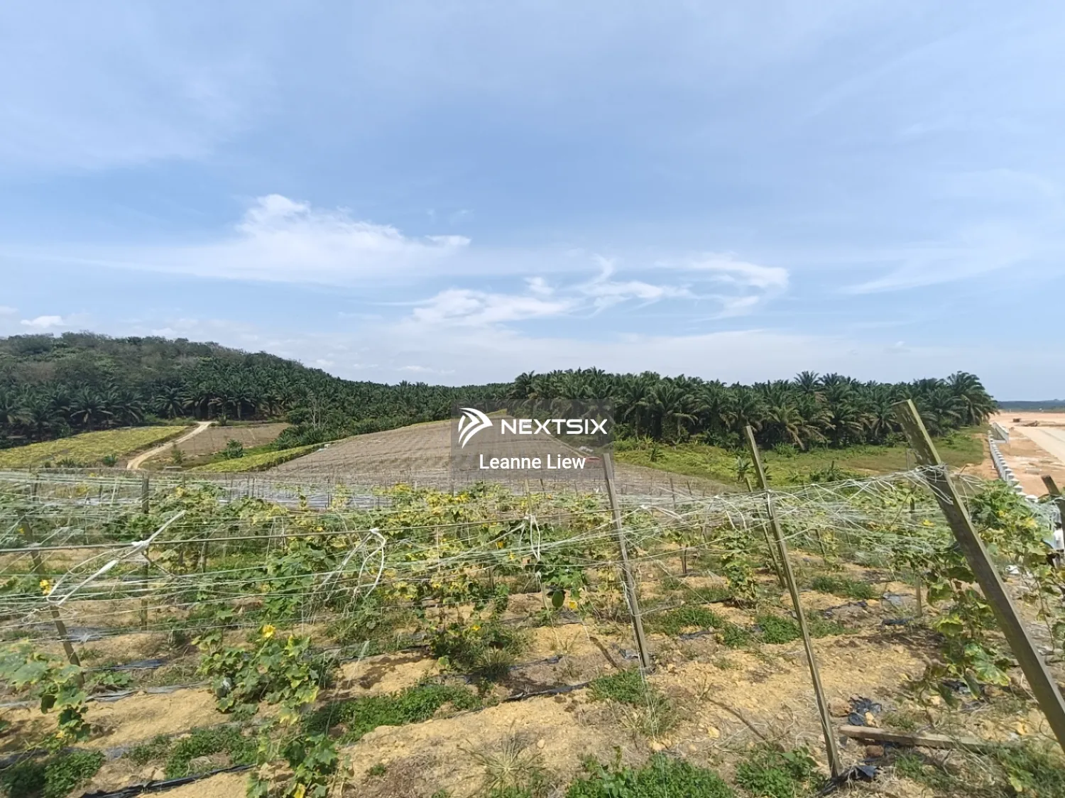 Agricultural Land For Sale in Kulai Johor - Image 4