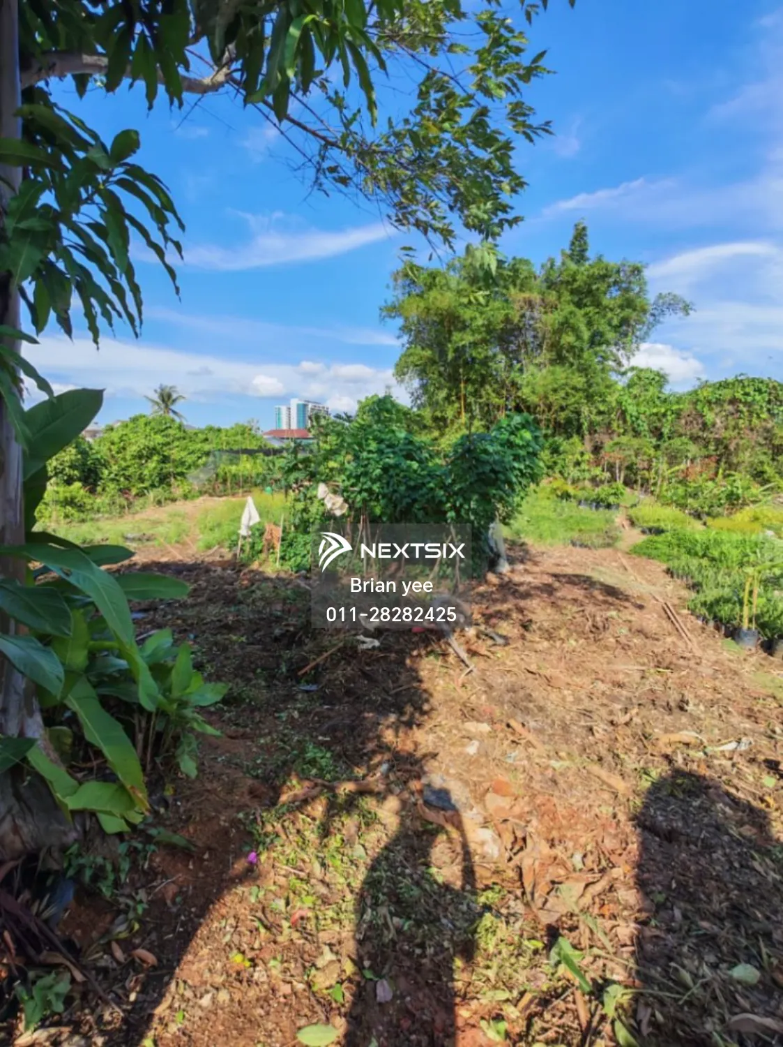 Agricultural Land For Sale in Kuching Sarawak - Image 12
