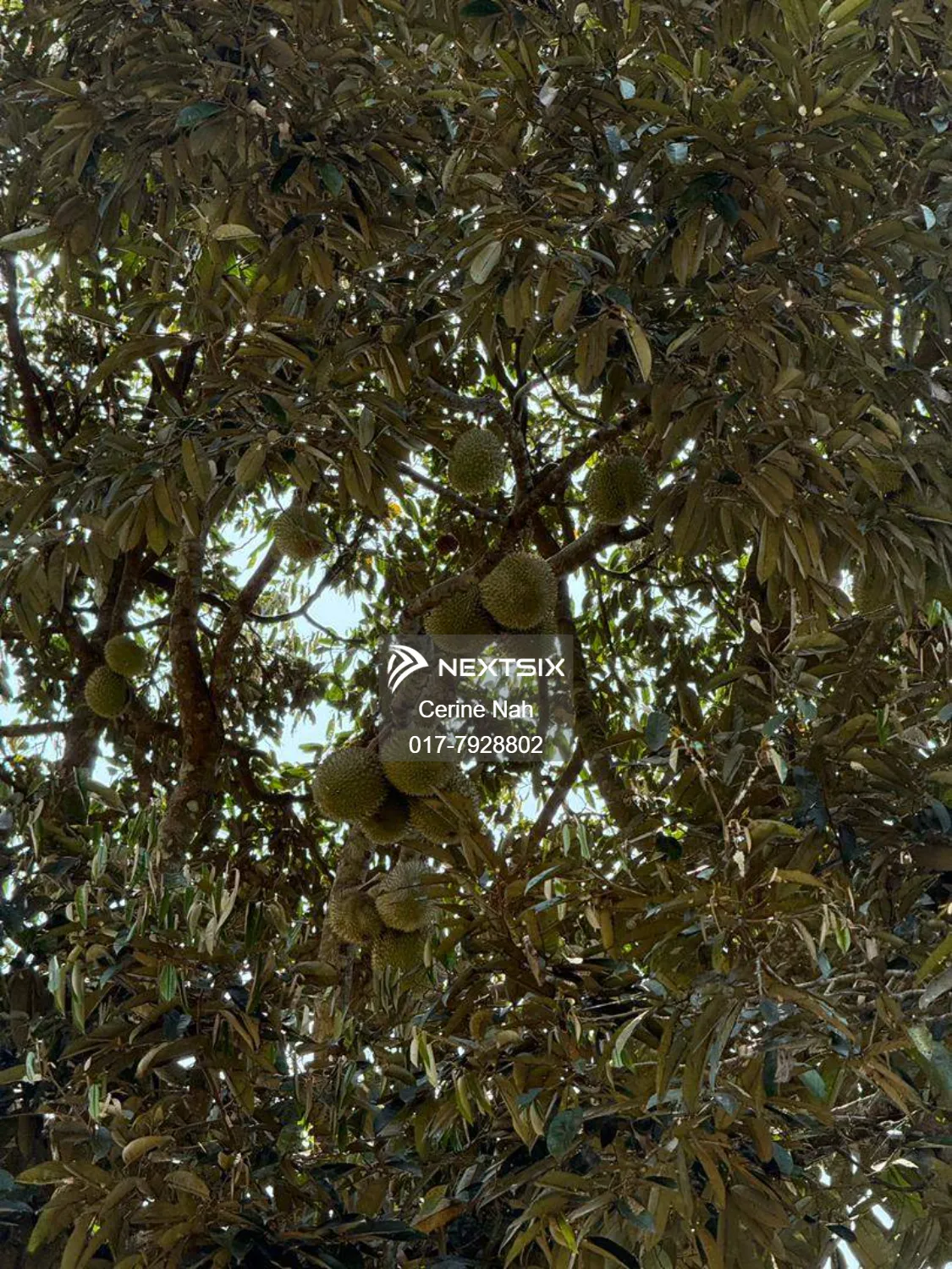 Agricultural Land For Sale in Ayer Hitam Johor - Image 10