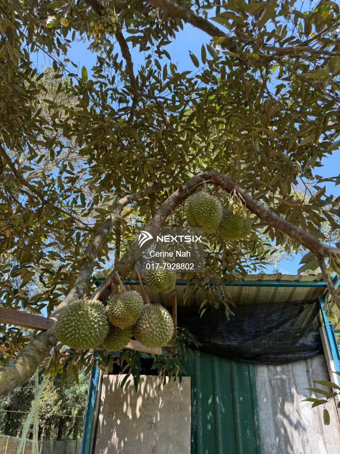 Agricultural Land For Sale in Ayer Hitam Johor - Image 8